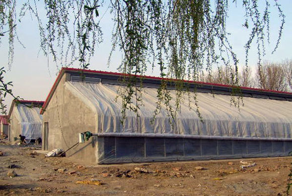 如何选择建造温室大棚？